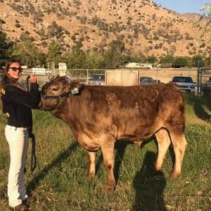 Meet your Posher, Kassidy